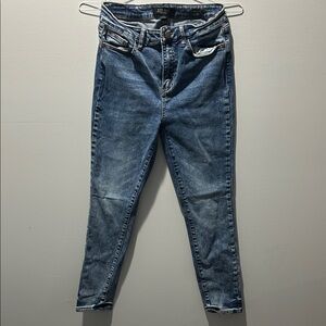 American Eagle Outfitters Medium Wash Skinny Jeans